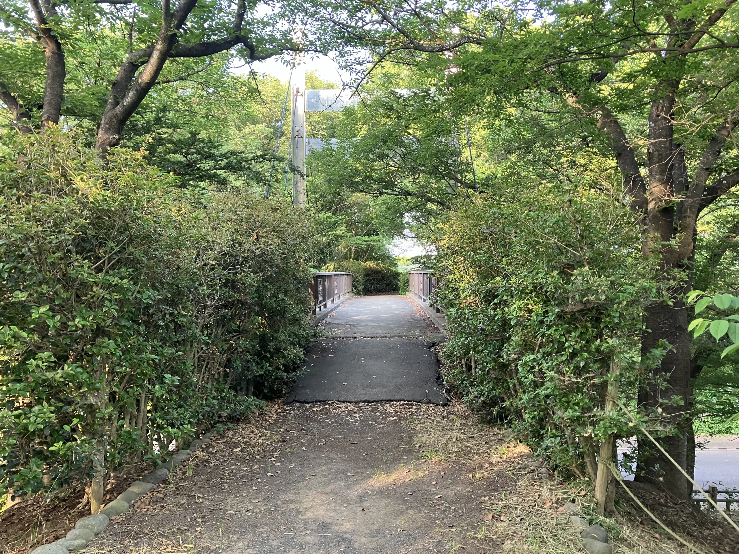 公園をつなぐ橋