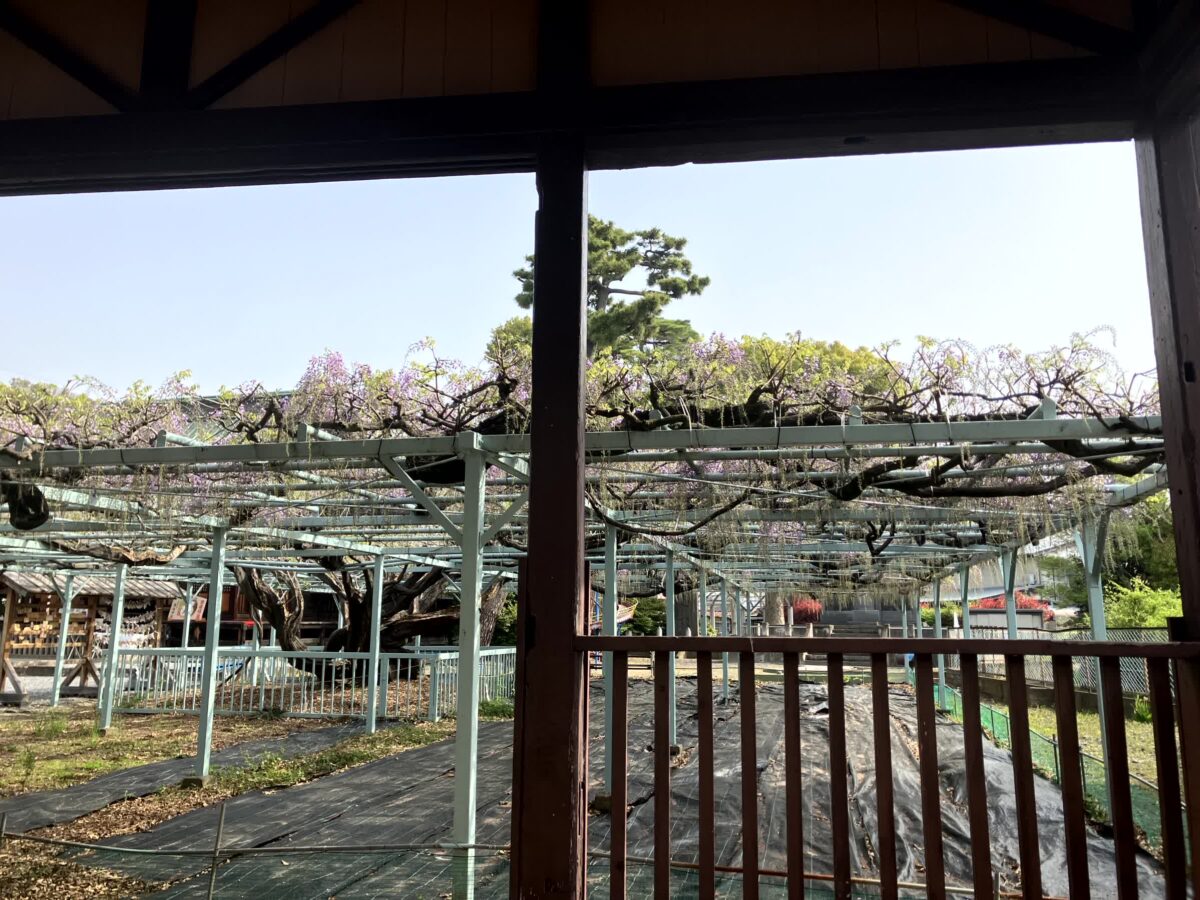 菖蒲神社の東屋