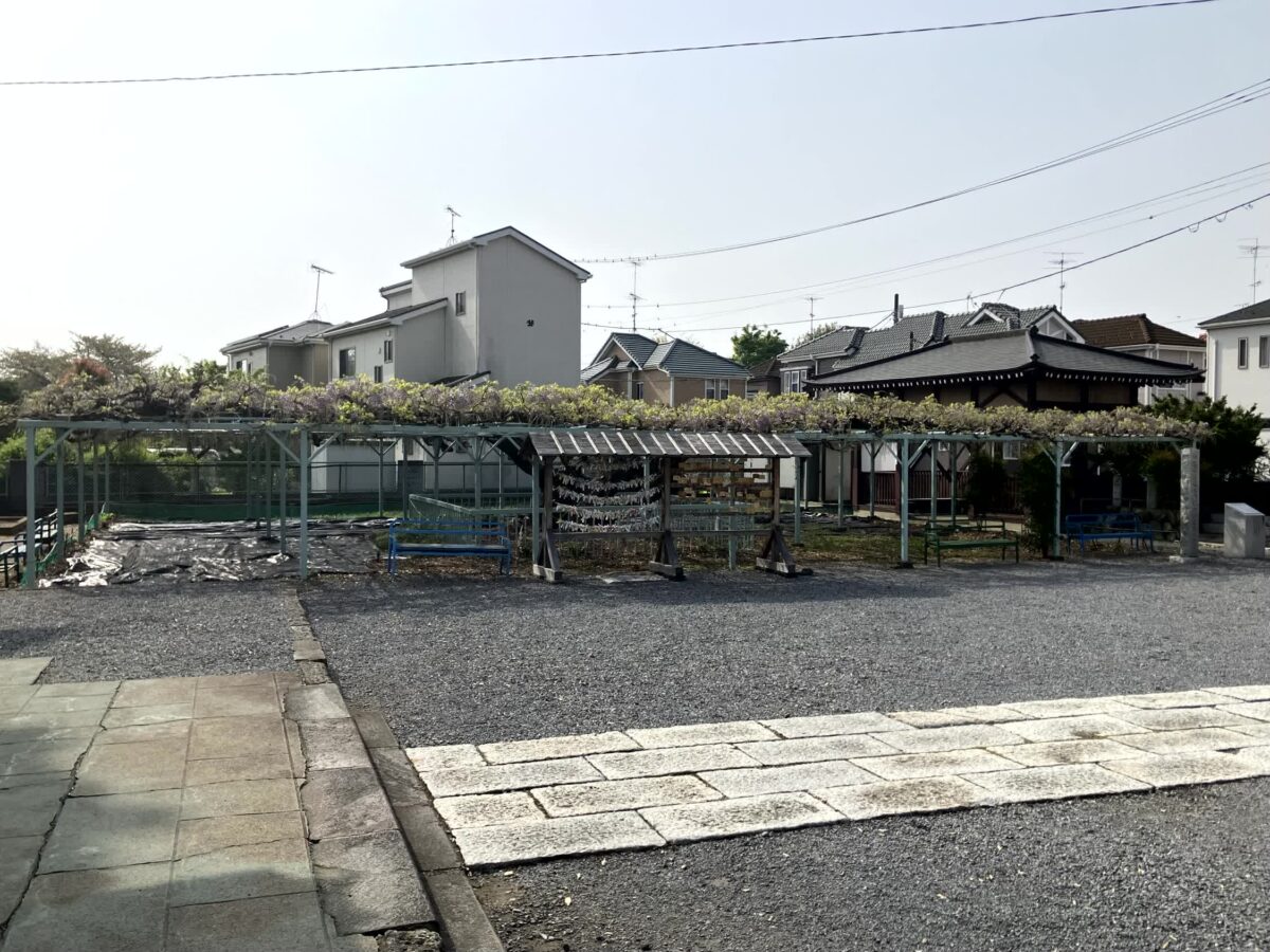 菖蒲神社の藤棚