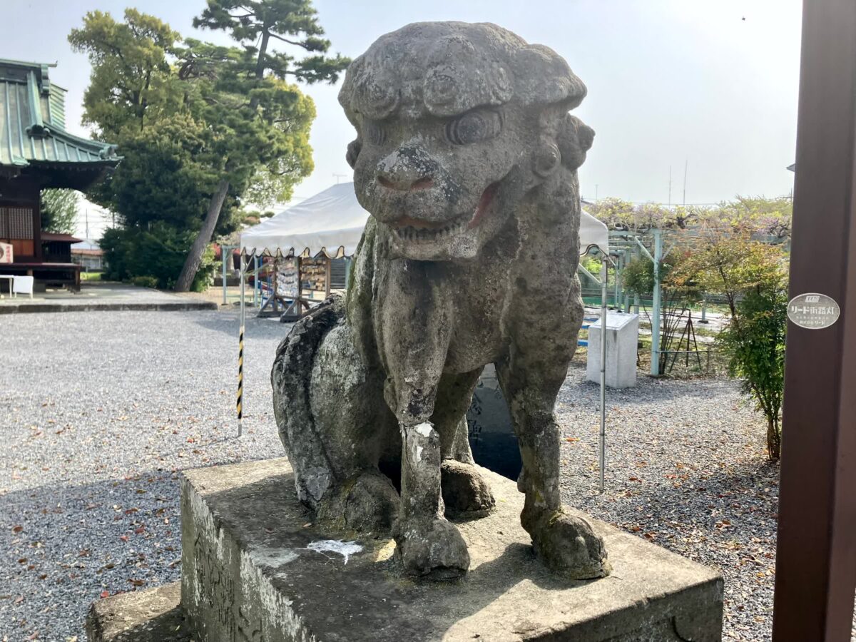 菖蒲神社の狛犬